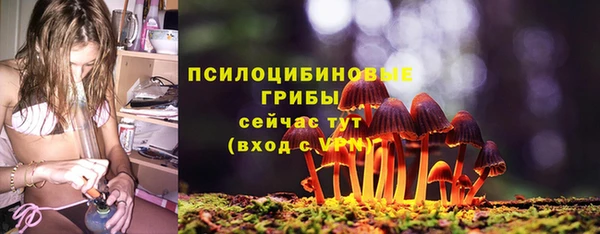 гидропоника Покачи