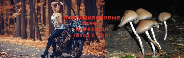 хмурый Абинск