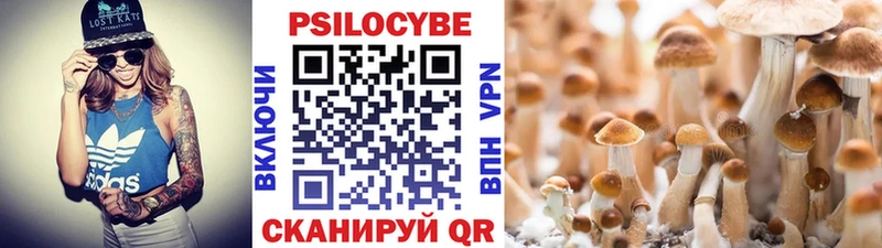 Псилоцибиновые грибы Magic Shrooms  Сурск 
